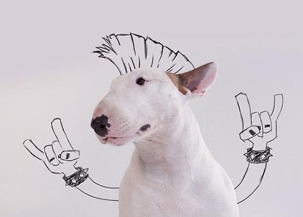 Brasileiro divorciado se torna famoso na Internet pelos grafites criados com seu cão