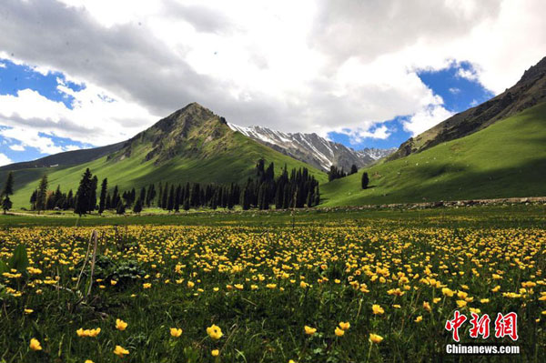 Bela paisagem da pradaria de Xinjiang
