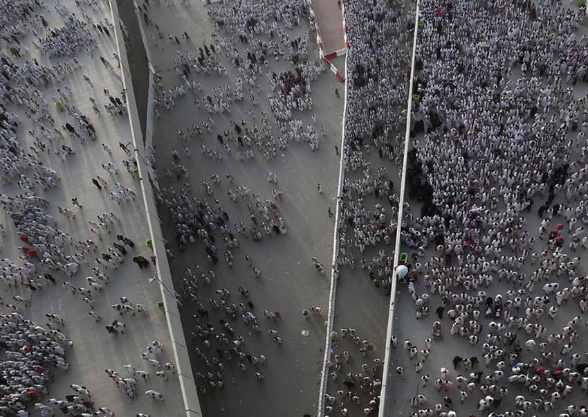 Mais de 700 peregrinos morrem durante a peregrinação anual do Hajj em Meca