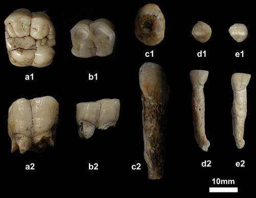 Descobertos em Hunan os fósseis humanos mais antigos do mundo até agora