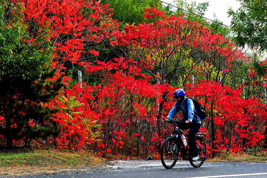 Cenário de final do outono na estrada nacional Nº 109 em Pequim