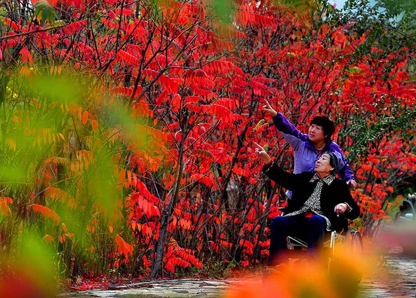 Cenário de final do outono na estrada nacional Nº 109 em Pequim