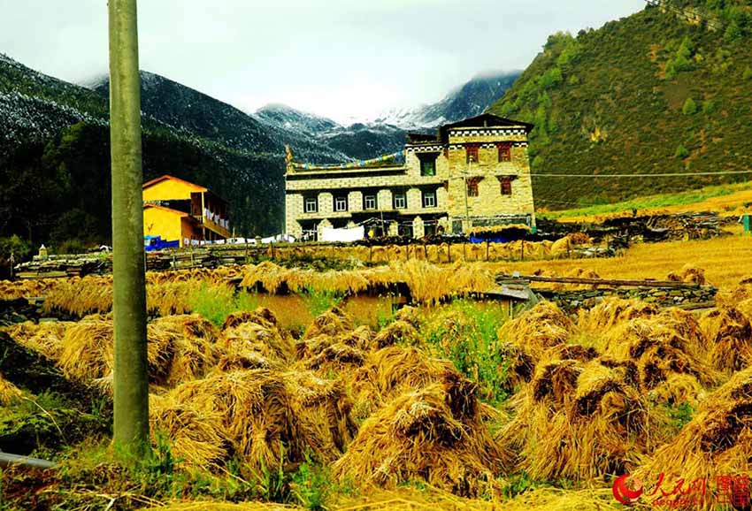 Daocheng Yading: um lugar de pura beleza