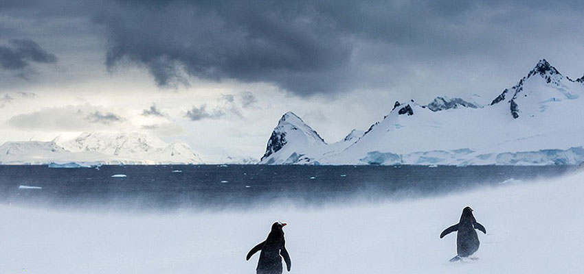 As melhores fotos do concurso National Geographic 2015