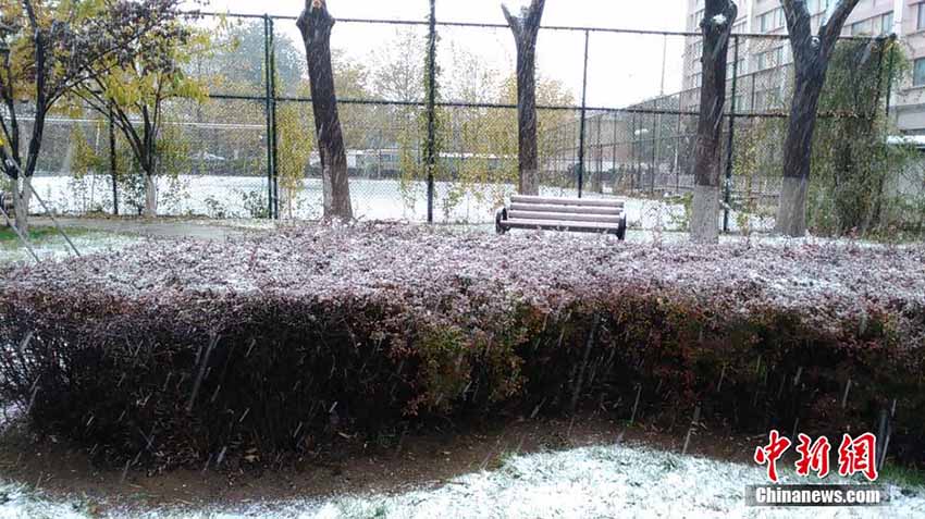 Primeiros flocos de neve abatem-se sobre Pequim