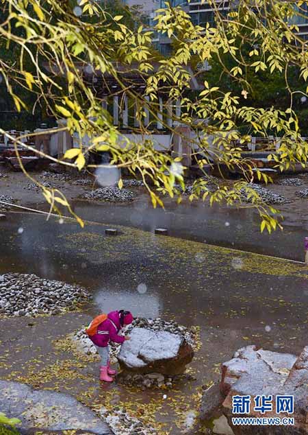 Primeiros flocos de neve abatem-se sobre Pequim