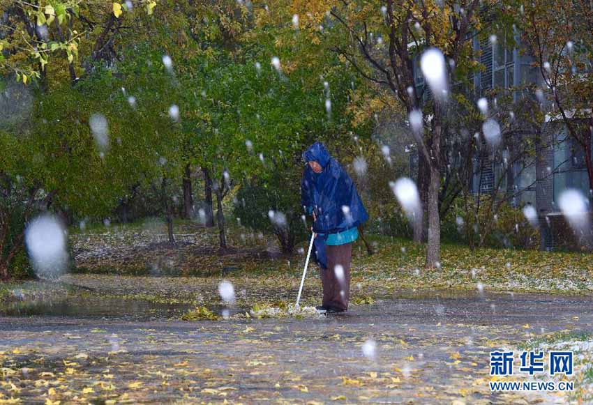 Primeiros flocos de neve abatem-se sobre Pequim