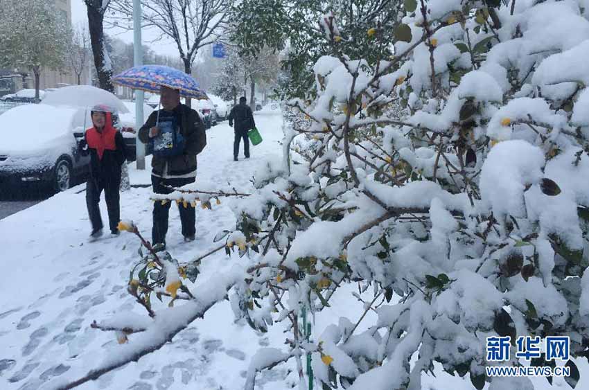 Primeiros flocos de neve abatem-se sobre Pequim