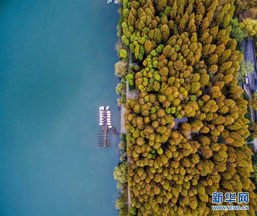 Paisagem de outono no Lago Oeste de Hangzhou