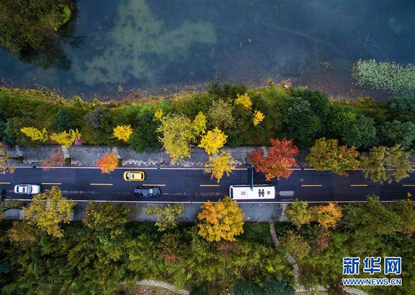 Paisagem de outono no Lago Oeste de Hangzhou