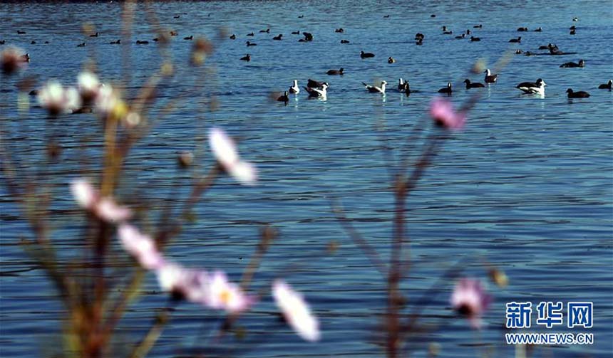 Lago Lugu e pântano Caohai, as pérolas do planalto Yunnan-Guizhou