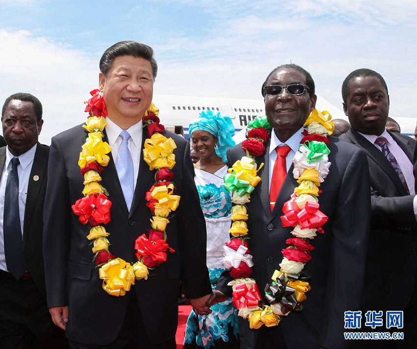 Presidente Xi inicia visita oficial de Estado ao Zimbábue