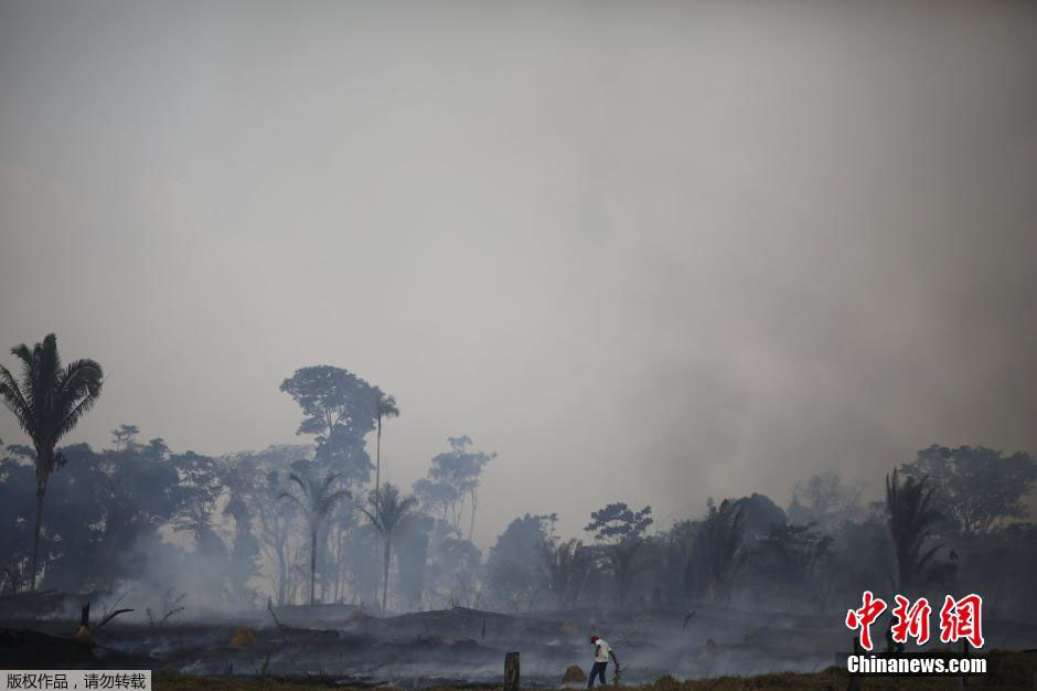 Floresta da Amazónia: século de grandes mudanças