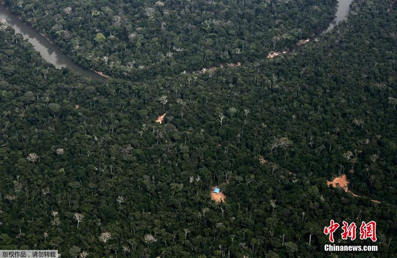 Floresta da Amazónia: século de grandes mudanças