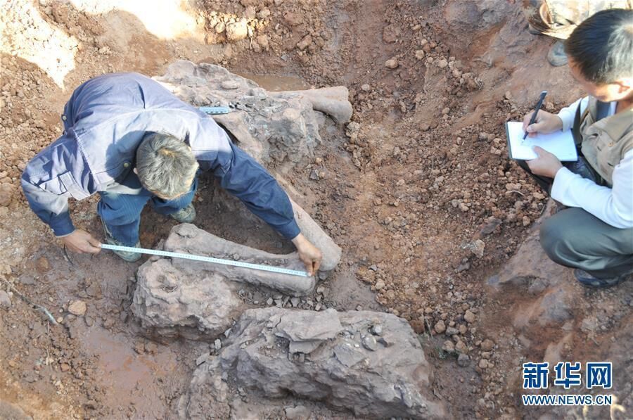 Fósseis de dinossauros de 180 milhões de anos são descobertos em Yunnan