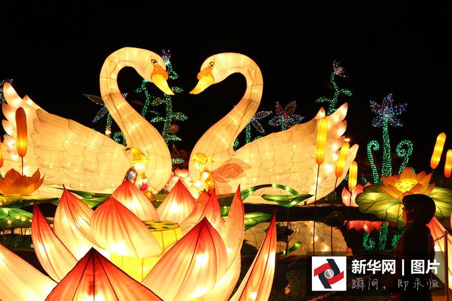 Califórnia realiza espetáculo com lanternas chinesas