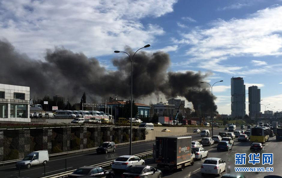 Ataque suicida deixa 11 mortos em Istambul