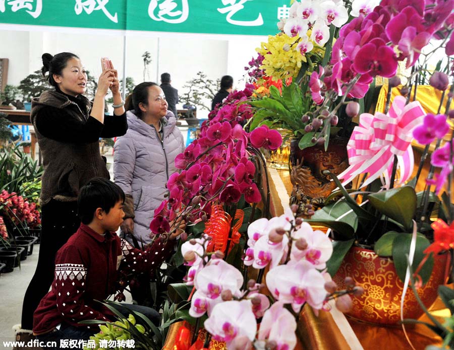 Chineses preparam Festival da Primavera