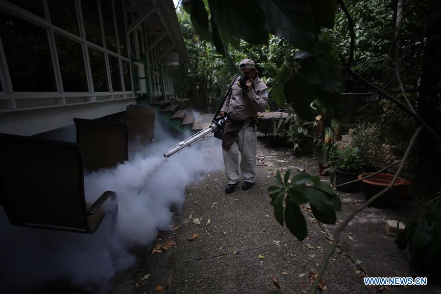 Organização Mundial da Saúde se mostra preocupada com o vírus Zika