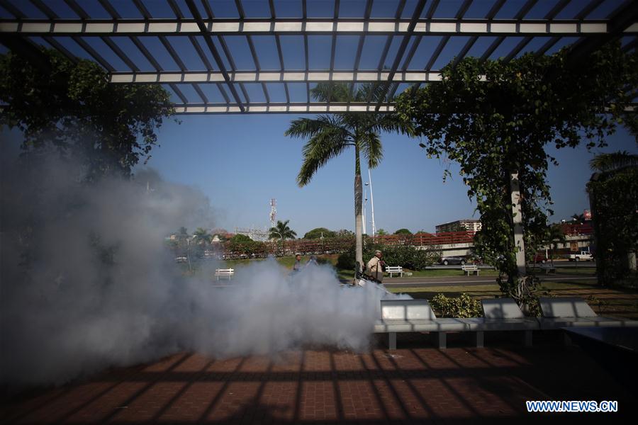 Panamá confirma 50 casos do vírus Zika