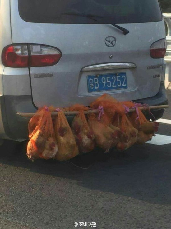 Insólito: Veículos “engalinados” detetados em auto-estradas chinesas