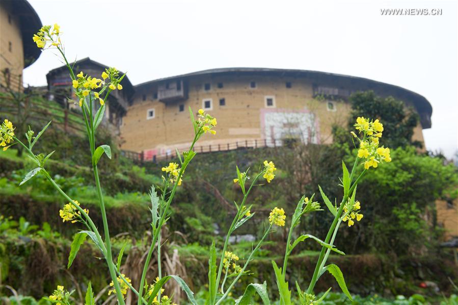 Os “Tulou” da província de Fujian