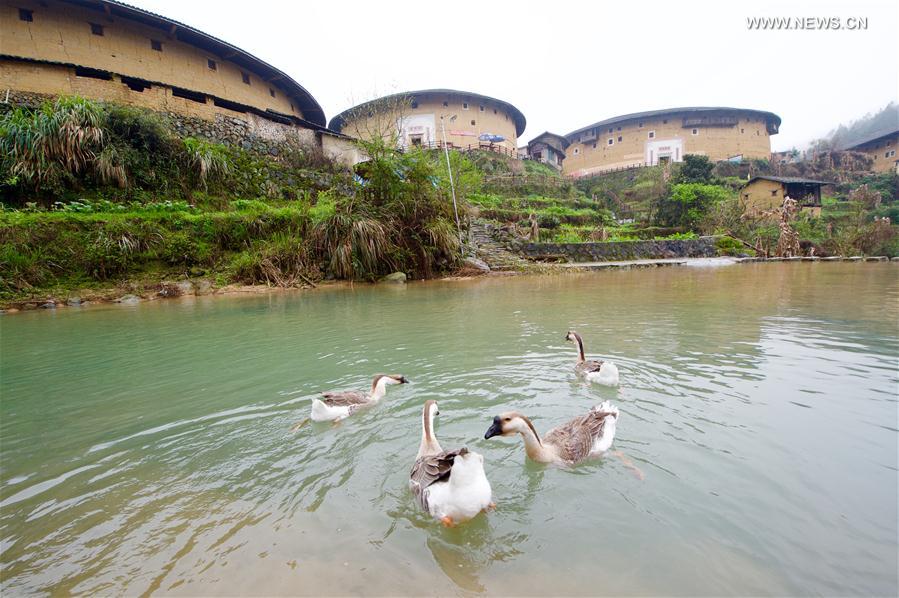 Os “Tulou” da província de Fujian