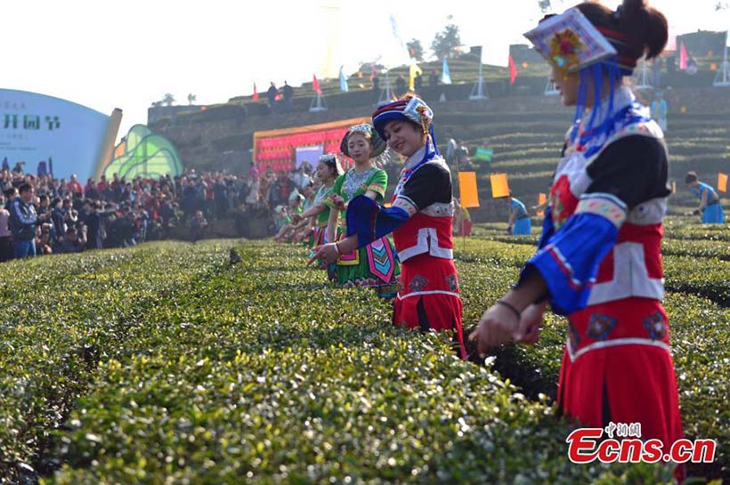 Colheita de chá da primavera começa no centro da China