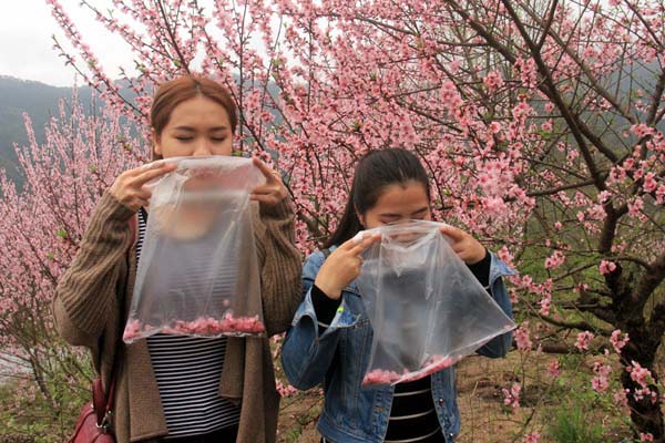 Aldeões vendem ar fresco aos residentes urbanos em Guangdong