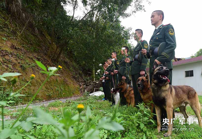 Soldados prestam homenagem aos cães policiais heróis