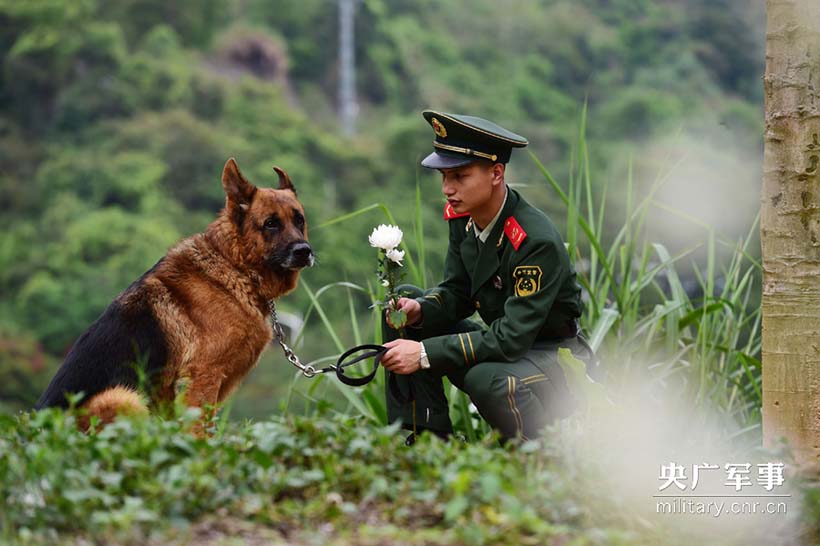 Soldados prestam homenagem aos cães policiais heróis