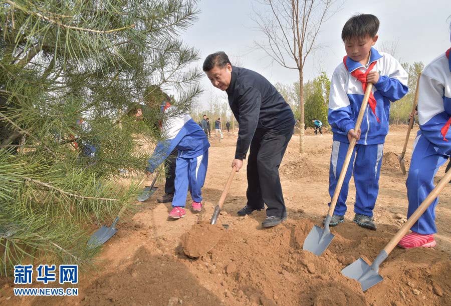 Presidente chinês planta árvores e pede por desenvolvimento florestal