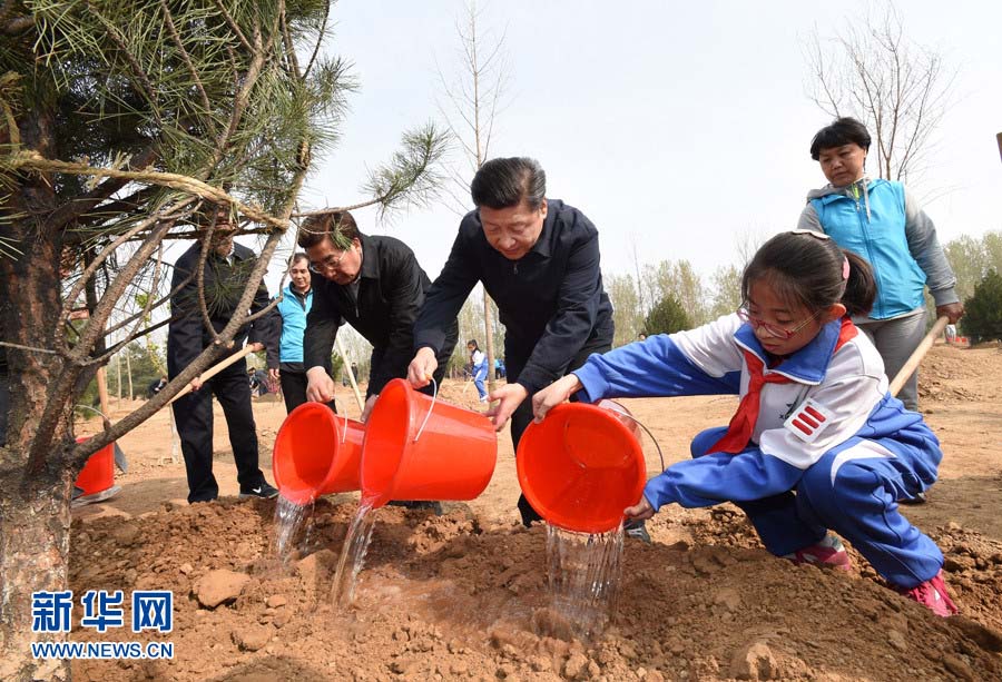 Presidente chinês planta árvores e pede por desenvolvimento florestal