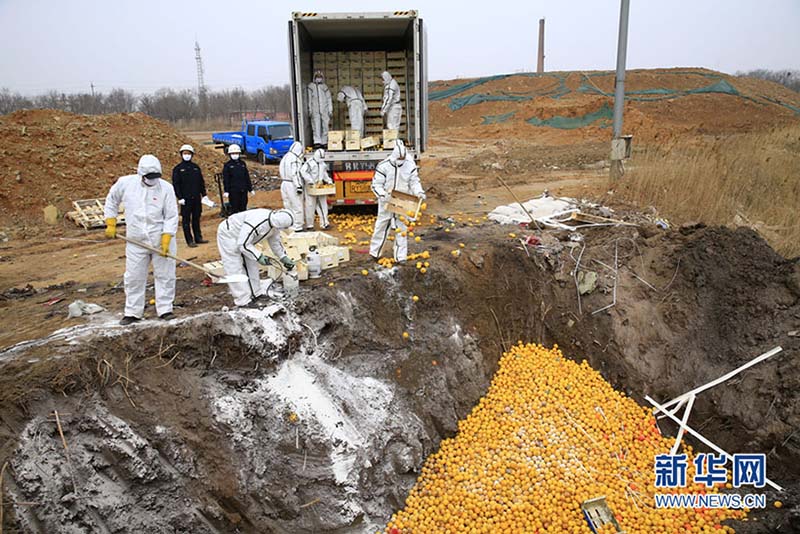 China reforça biossegurança na importação de animais e plantas
