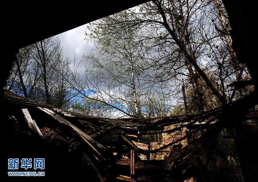 Ucrânia marca 30º aniversário do desastre de Chernobil