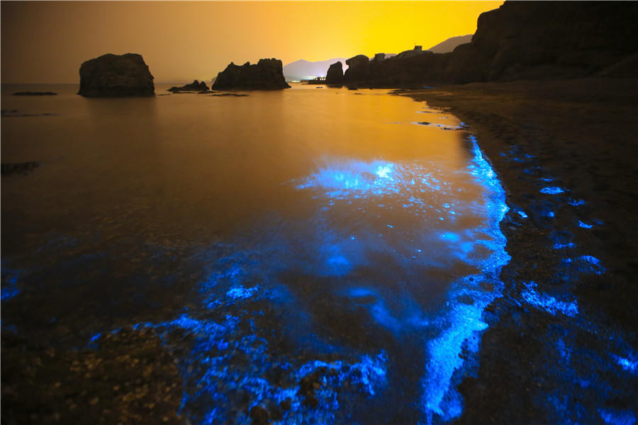 Mar fica fluorescente no nordeste da China