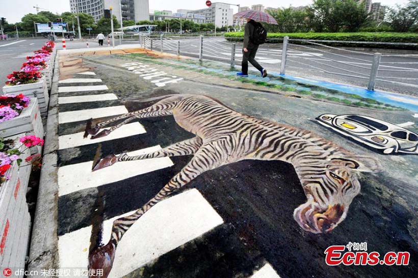 Cuidado com a zebra ao atravessar a rua