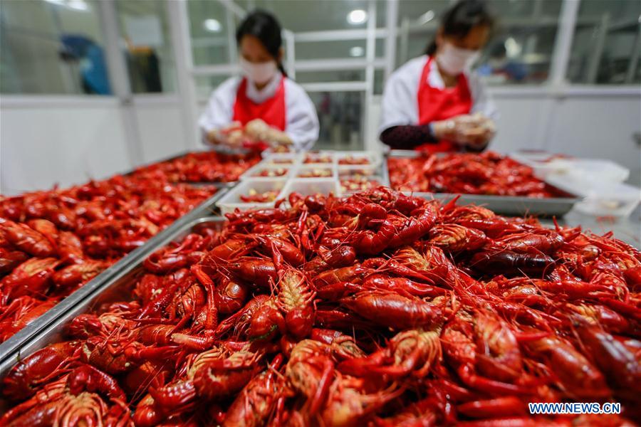 Festival internacional da lagosta no leste da China