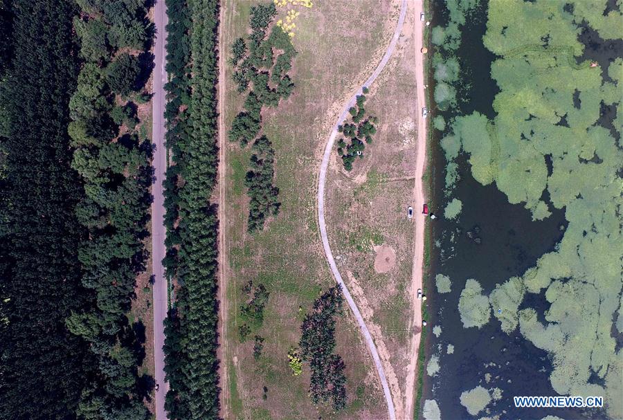 Parque pantanoso do Rio Chaobai de Tianjin será aberto ao público
