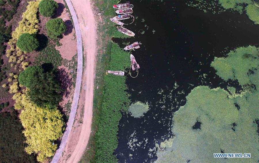 Parque pantanoso do Rio Chaobai de Tianjin será aberto ao público