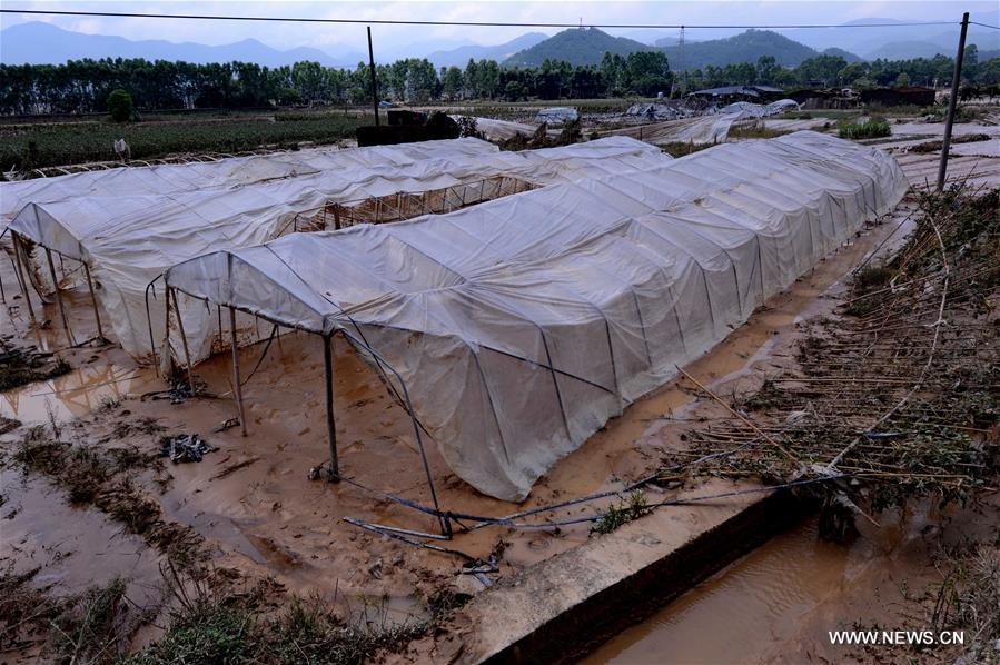 Tufão Nepartak deixa 10 mortos e 11 desaparecidos no leste da China