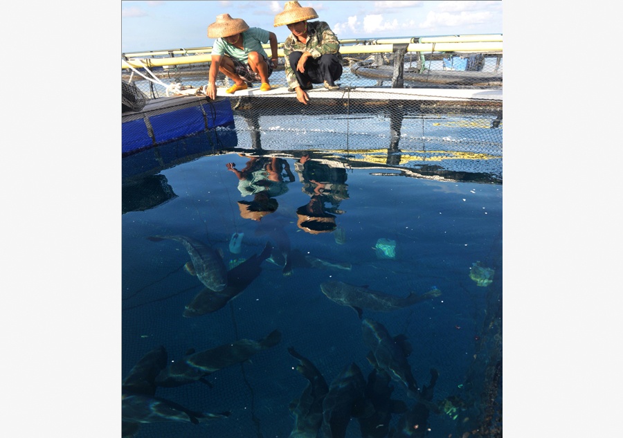 Pescador cria peixes em cativeiro no Mar do Sul da China