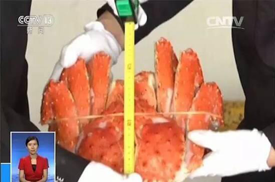 Autoridades de Qingdao anulam esquema de contrabando de produtos marinhos japoneses contaminados com radiação nuclear