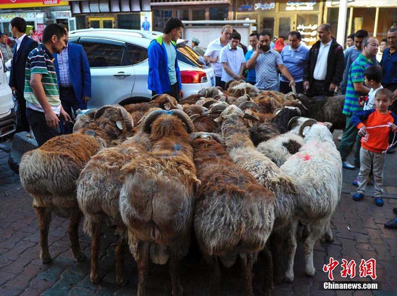 Muçulmanos em Xinjiang celebram Festa do Sacrifício