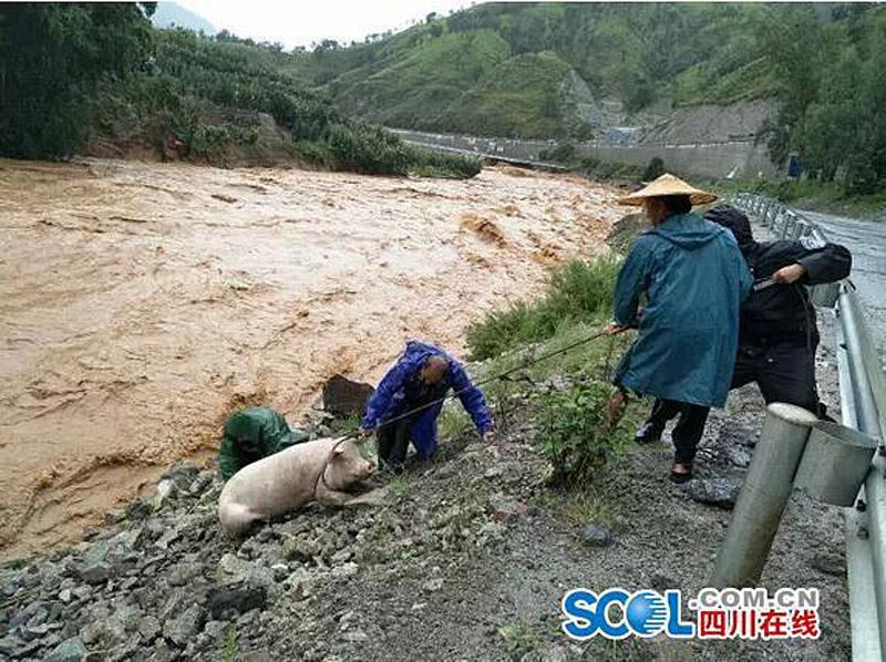 Chuvas fortes deixam 6 mortos e 11 desaparecidos em Sichuan