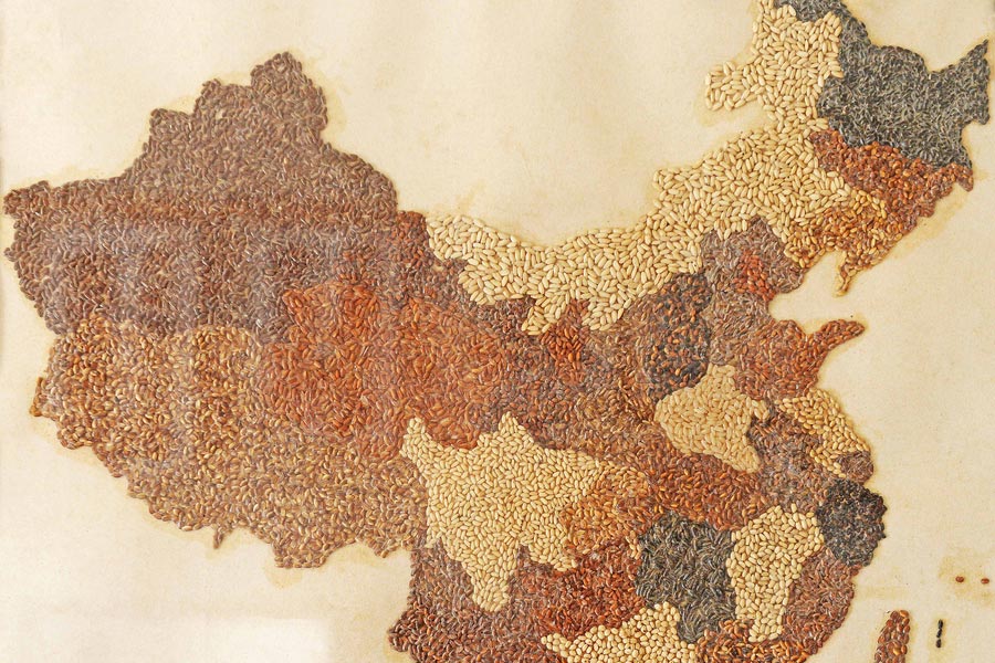 Agricultor cria mapa da China através da plantação de arroz colorido em Shanghai