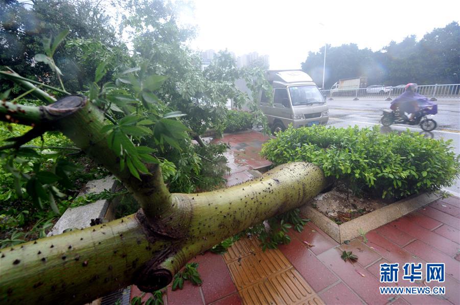 Tufão Megi abate-se sobre o sudeste da China