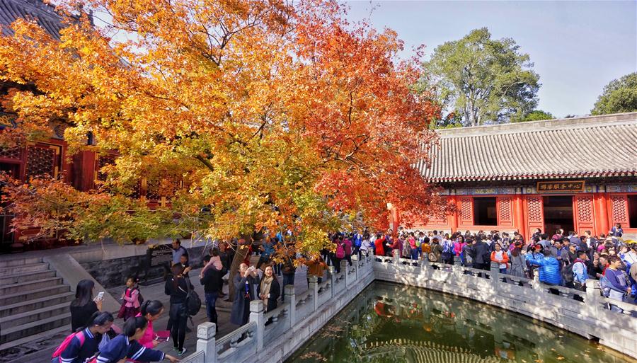Turistas acorrem ao Parque Xiangshan para apreciar paisagem outonal