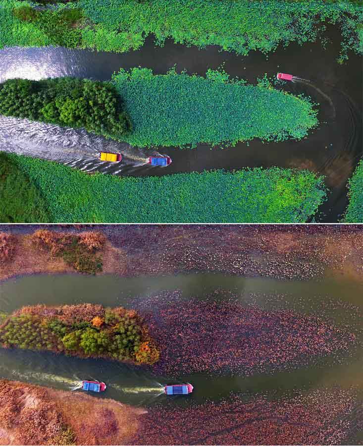 Paisgens de verão e inverno do Canal de Tai'erzhuang na província de Shandong