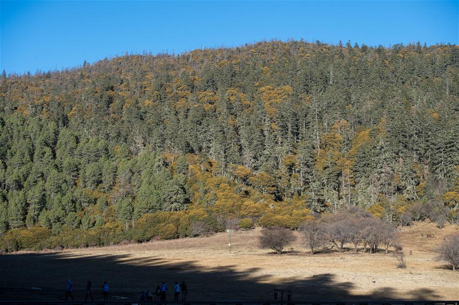 Paisagem de início de inverno em Shangri-La